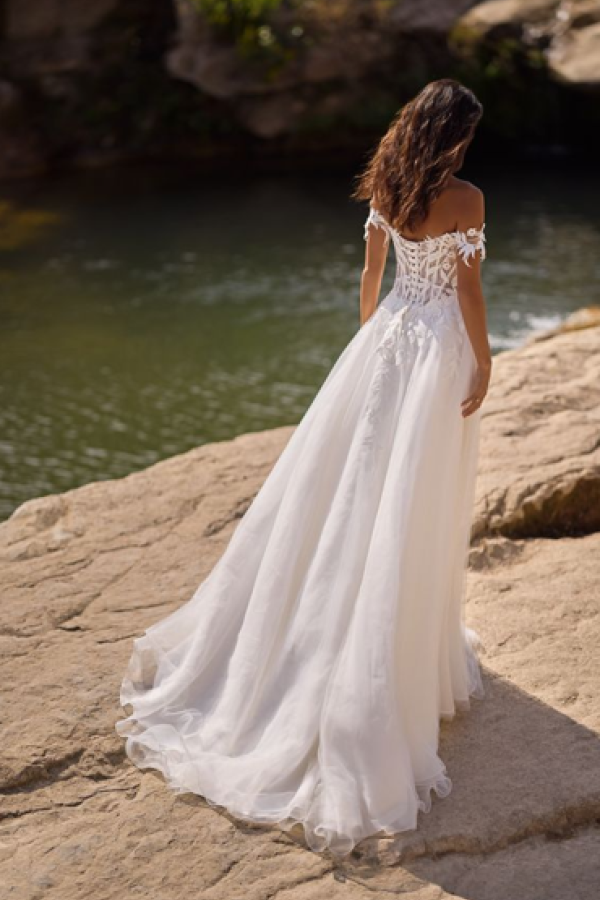Br tulle dos